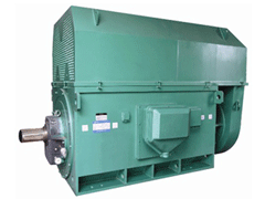 临沂Y系列6KV高压电机生产厂家